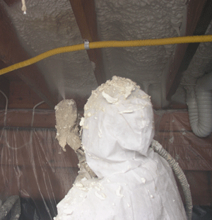 Boise IA crawl space insulation
